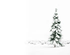 Christmas Wallpapers 146